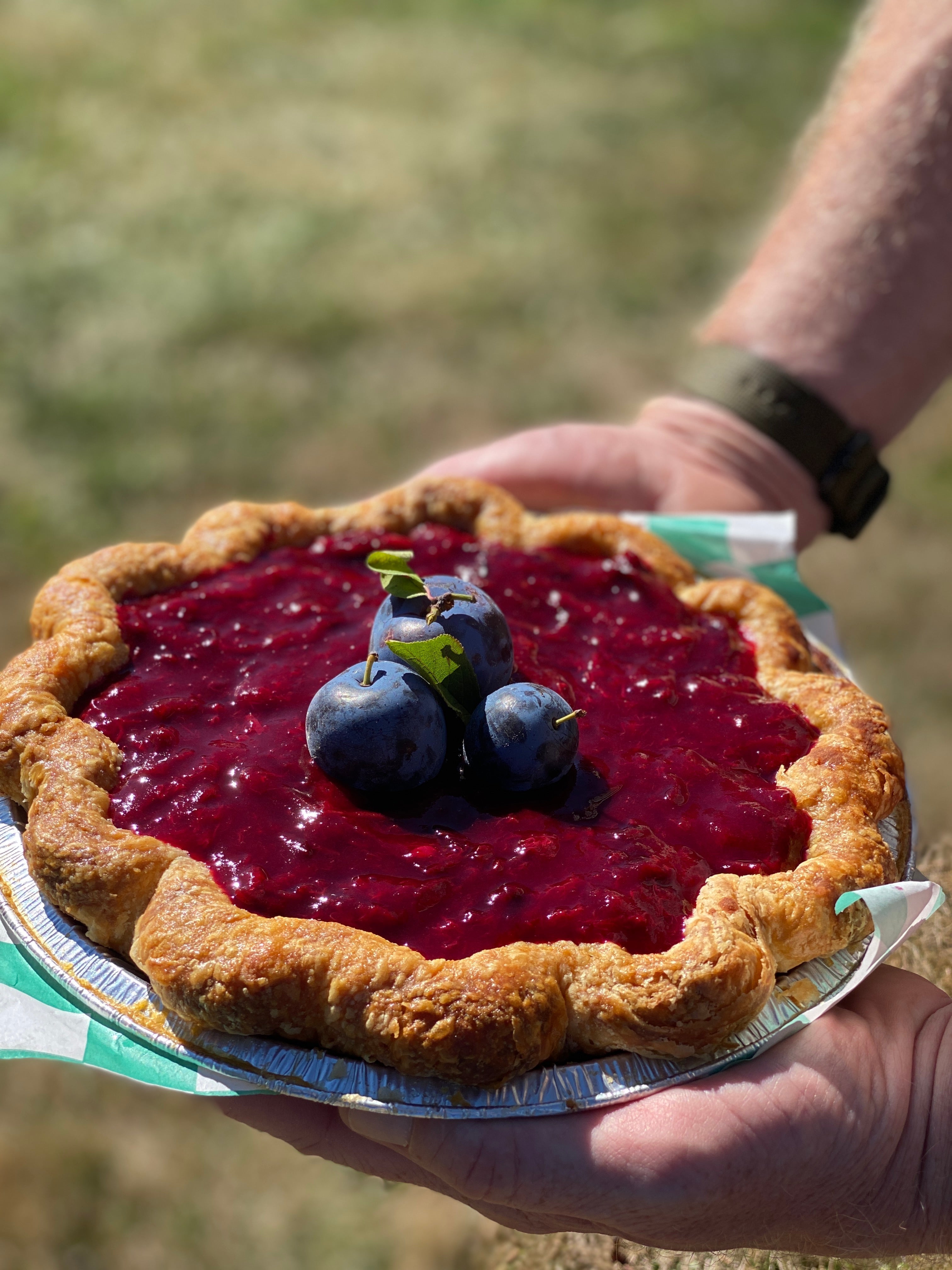 Italian Plum Cheesecake Pie Thanksgiving 2023 Pie Bird Farm